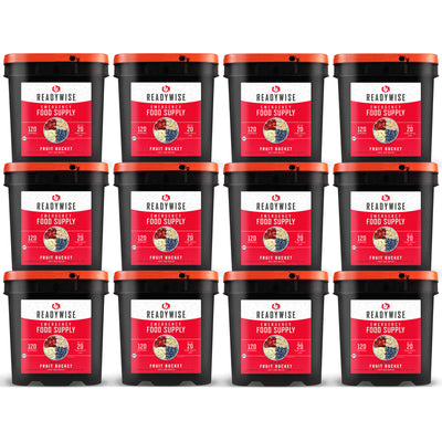 readywise 1440 serving freeze-dried fruit bundle with bananas blueberries strawberries and apples in twelve food storage buckets