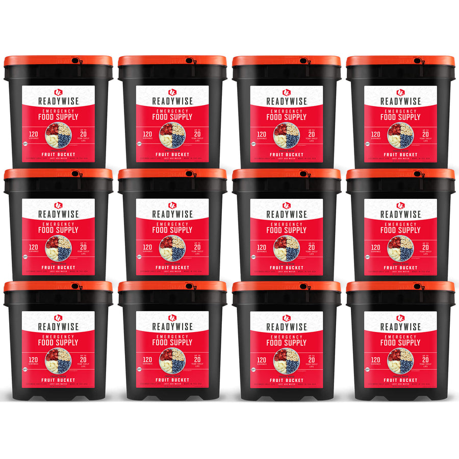readywise 1440 serving freeze-dried fruit bundle with bananas blueberries strawberries and apples in twelve food storage buckets