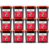 readywise 1440 serving freeze-dried fruit bundle with bananas blueberries strawberries and apples in twelve food storage buckets
