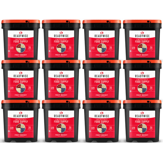 readywise 1440 serving freeze-dried fruit bundle with bananas blueberries strawberries and apples in twelve food storage buckets