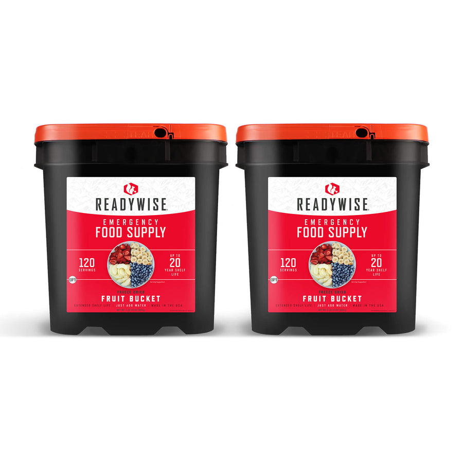 readywise 240 serving freeze-dried fruit bundle with bananas blueberries strawberries and apples in long-term storage buckets