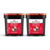 readywise 240 serving freeze-dried fruit bundle with bananas blueberries strawberries and apples in long-term storage buckets