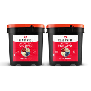 readywise 240 serving freeze-dried fruit bundle with bananas blueberries strawberries and apples in long-term storage buckets