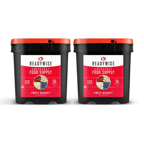 readywise 240 serving freeze-dried fruit bundle with bananas blueberries strawberries and apples in long-term storage buckets
