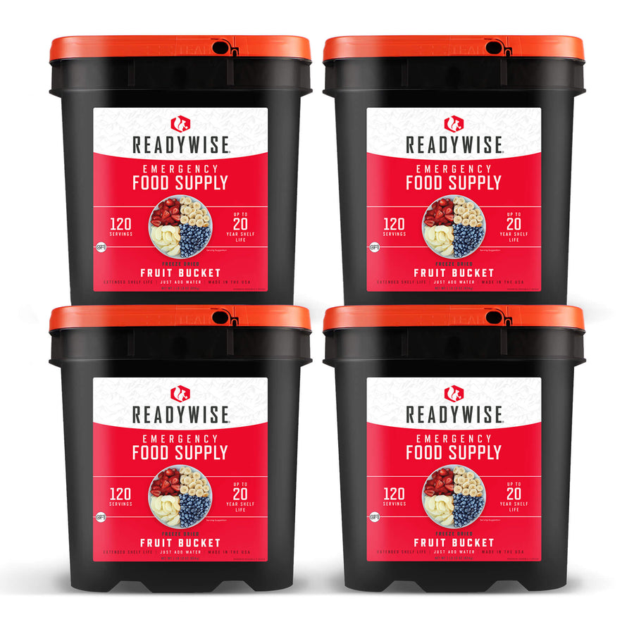 readywise 480 serving freeze-dried fruit bundle with bananas blueberries strawberries and apples in emergency food storage buckets