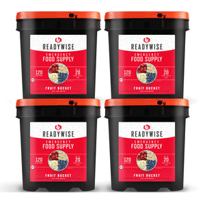 readywise 480 serving freeze-dried fruit bundle with bananas blueberries strawberries and apples in emergency food storage buckets