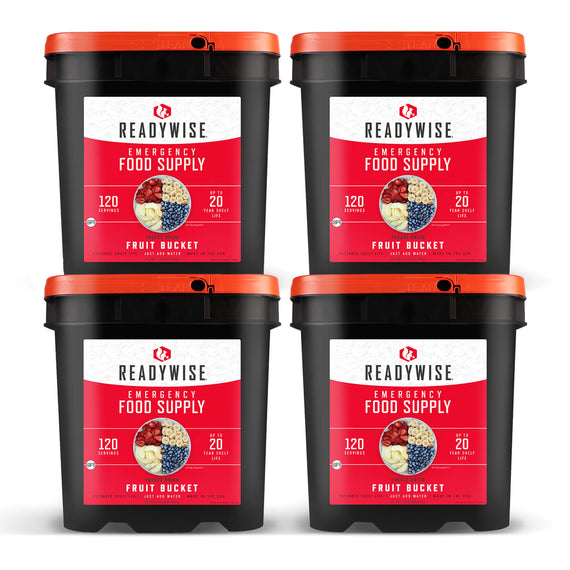 readywise 480 serving freeze-dried fruit bundle with bananas blueberries strawberries and apples in emergency food storage buckets