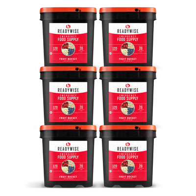 readywise 720 serving freeze-dried fruit bundle with bananas blueberries strawberries and apples in six food storage buckets