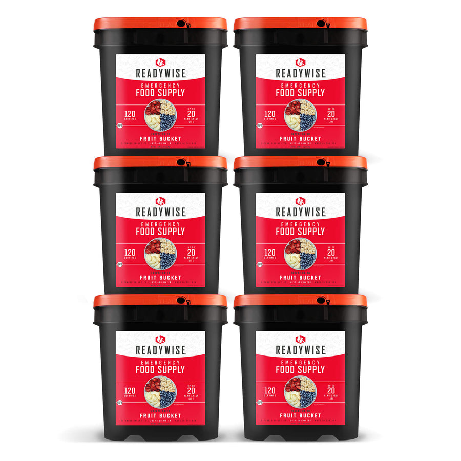 readywise 720 serving freeze-dried fruit bundle with bananas blueberries strawberries and apples in six food storage buckets