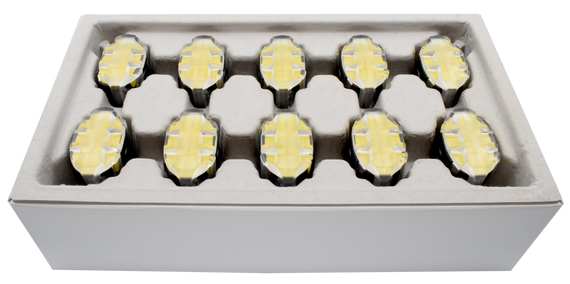 ten live replacement cartridges compatible with TASER C2, Bolt, Pulse, and Pulse+